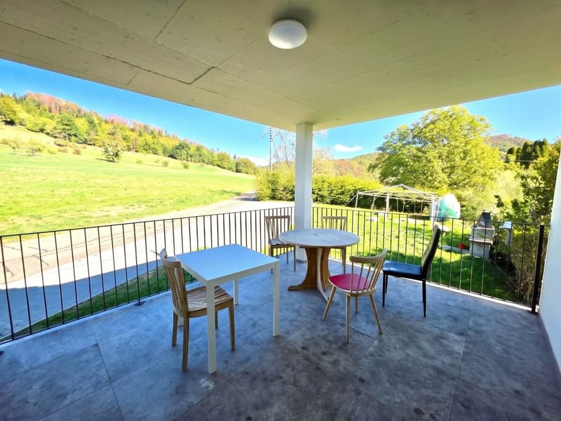Neuwertig mit grossem Balkon, unverbaubarer Aussicht (1)
