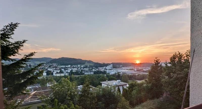 Fantastische Aussicht mit grosszügigem Garten (4)