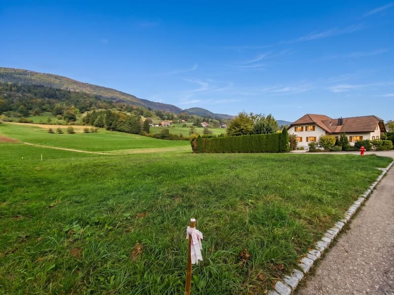 Grosszügige Baulandparzelle mit Aussicht (2)