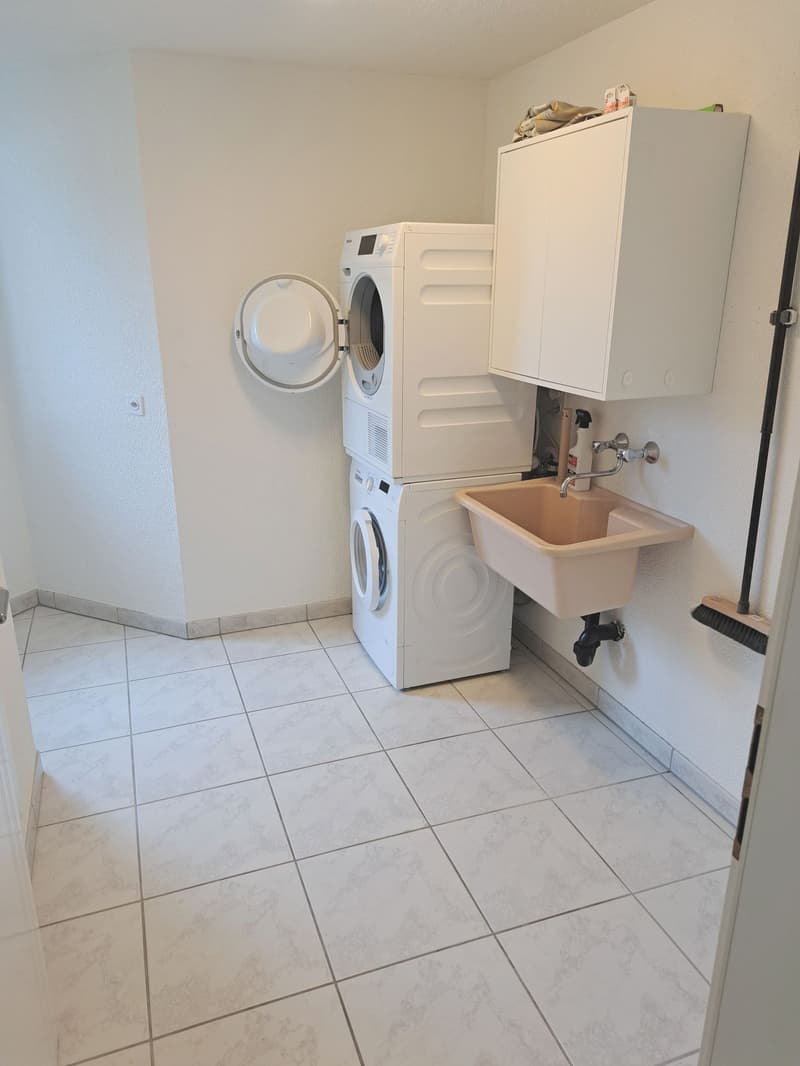 Zweistöckiges Raumwunder in Bremgarten: 6.5-Zimmer-Maisonette mit beheiztem Pavillon & Bastelraum (13)