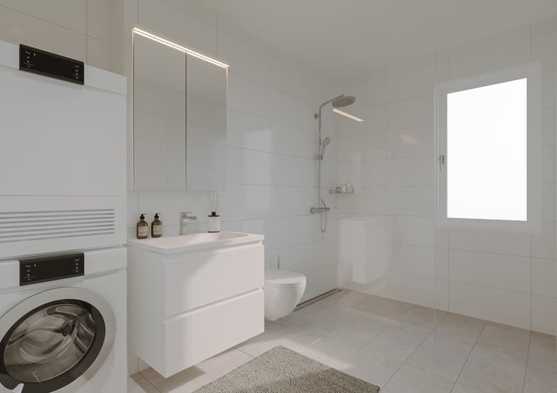 Progetto di ristrutturazione di 18 appartamenti in affitto a Winterthur (5)
