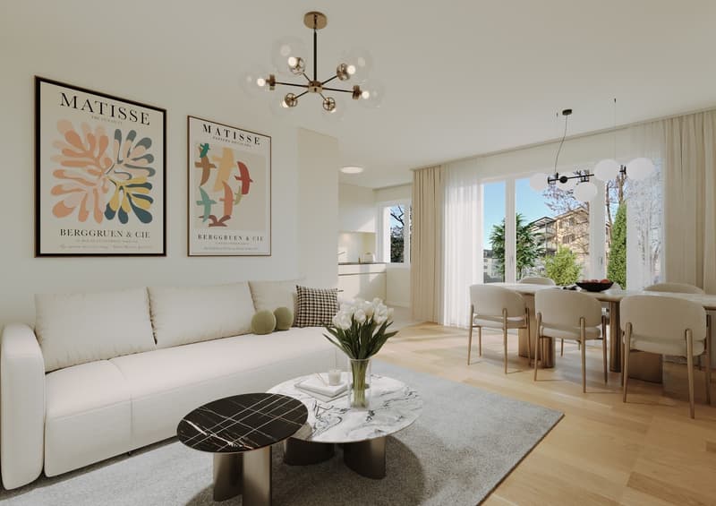 Projet de rénovation de 18 appartements à louer à Winterthur (1)