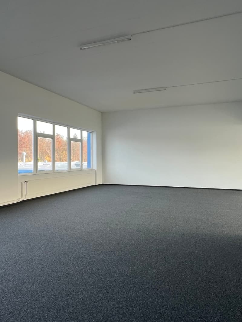 Votre emplacement d'entreprise/démarrage à Rapperswil-Jona (12)