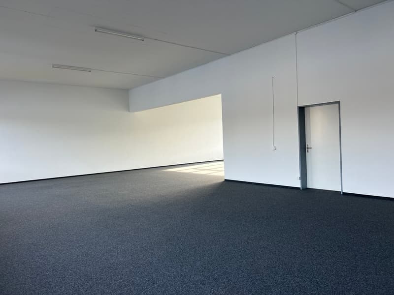Votre emplacement d'entreprise/démarrage à Rapperswil-Jona (11)