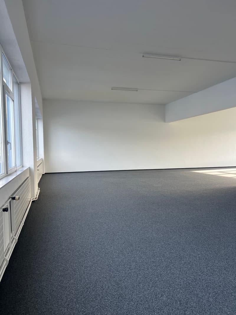 Votre emplacement d'entreprise/démarrage à Rapperswil-Jona (7)