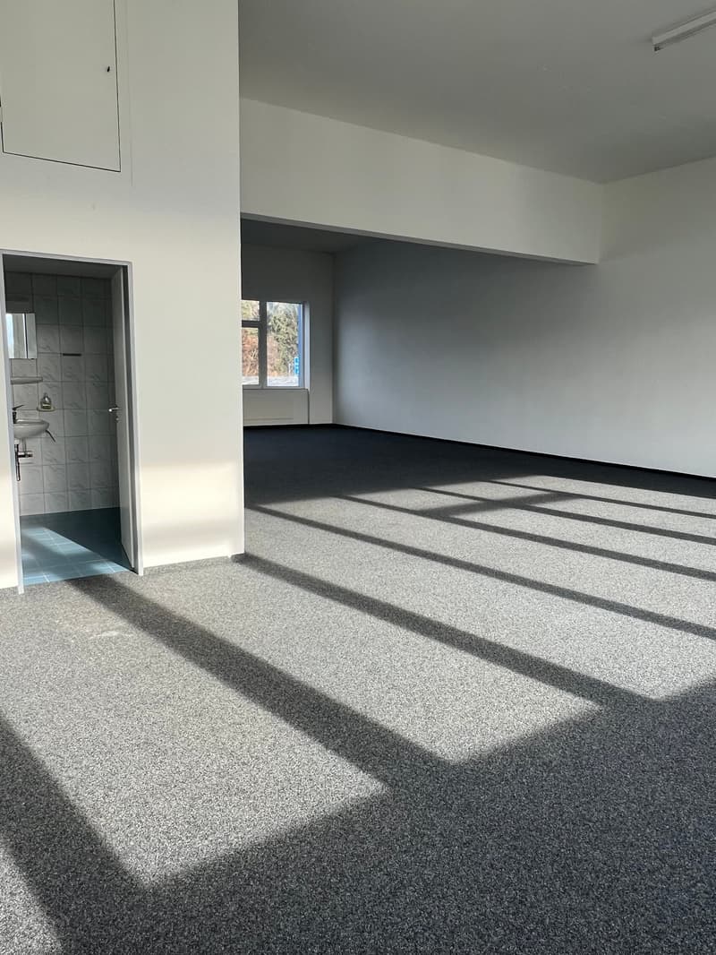 Votre emplacement d'entreprise/démarrage à Rapperswil-Jona (3)