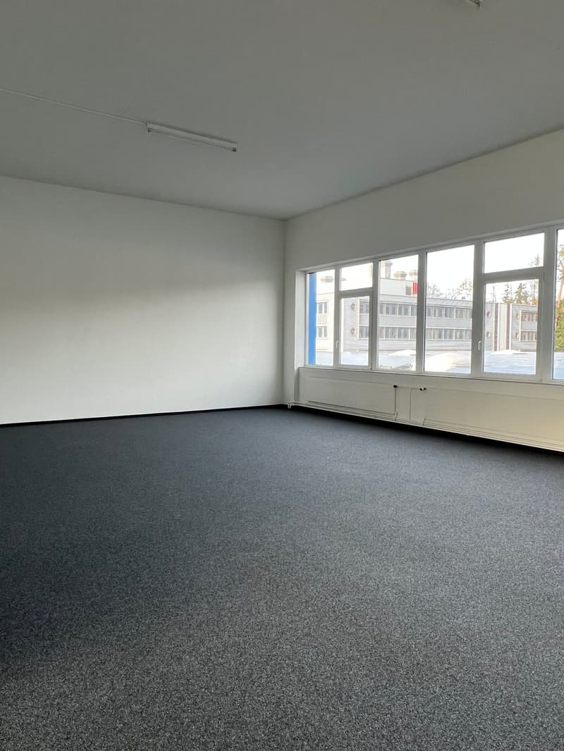 Votre emplacement d'entreprise/démarrage à Rapperswil-Jona (13)