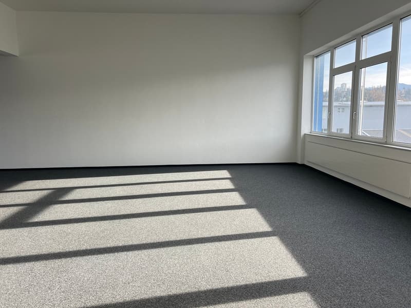 Votre emplacement d'entreprise/démarrage à Rapperswil-Jona (6)