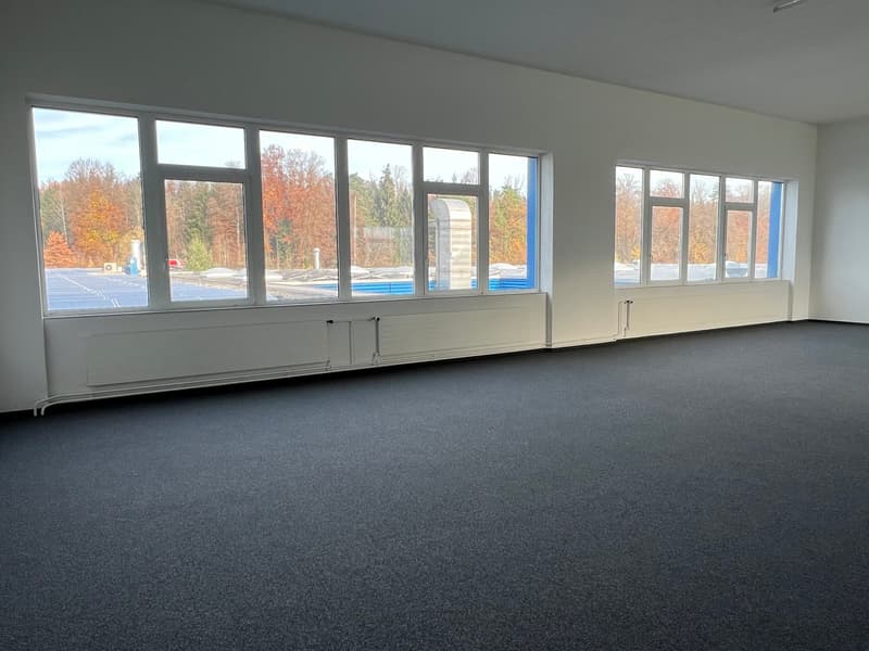 Votre emplacement d'entreprise/démarrage à Rapperswil-Jona (2)