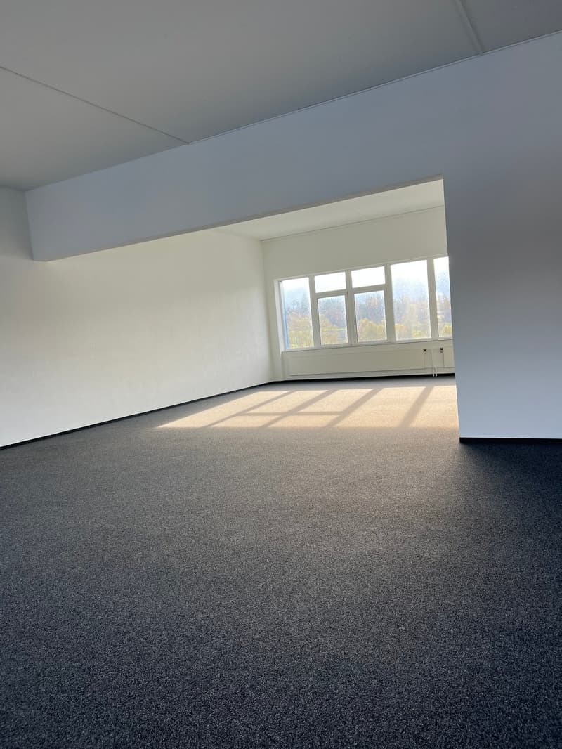Votre emplacement d'entreprise/démarrage à Rapperswil-Jona (10)