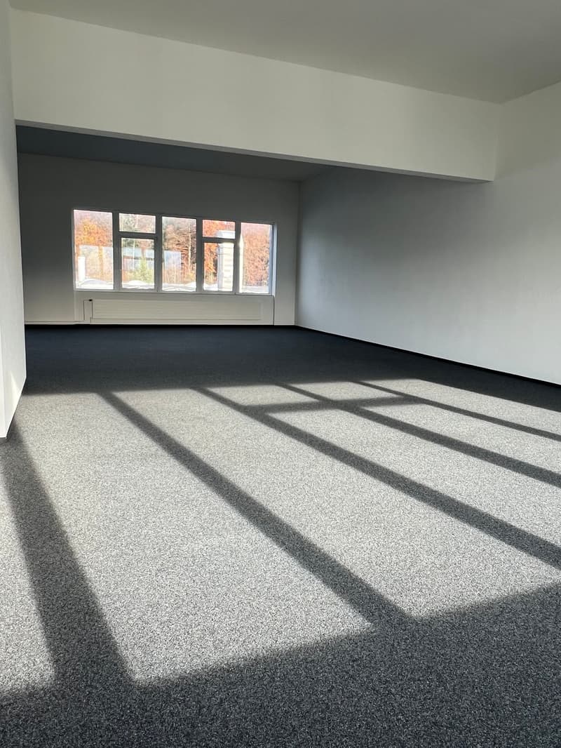Votre emplacement d'entreprise/démarrage à Rapperswil-Jona (9)