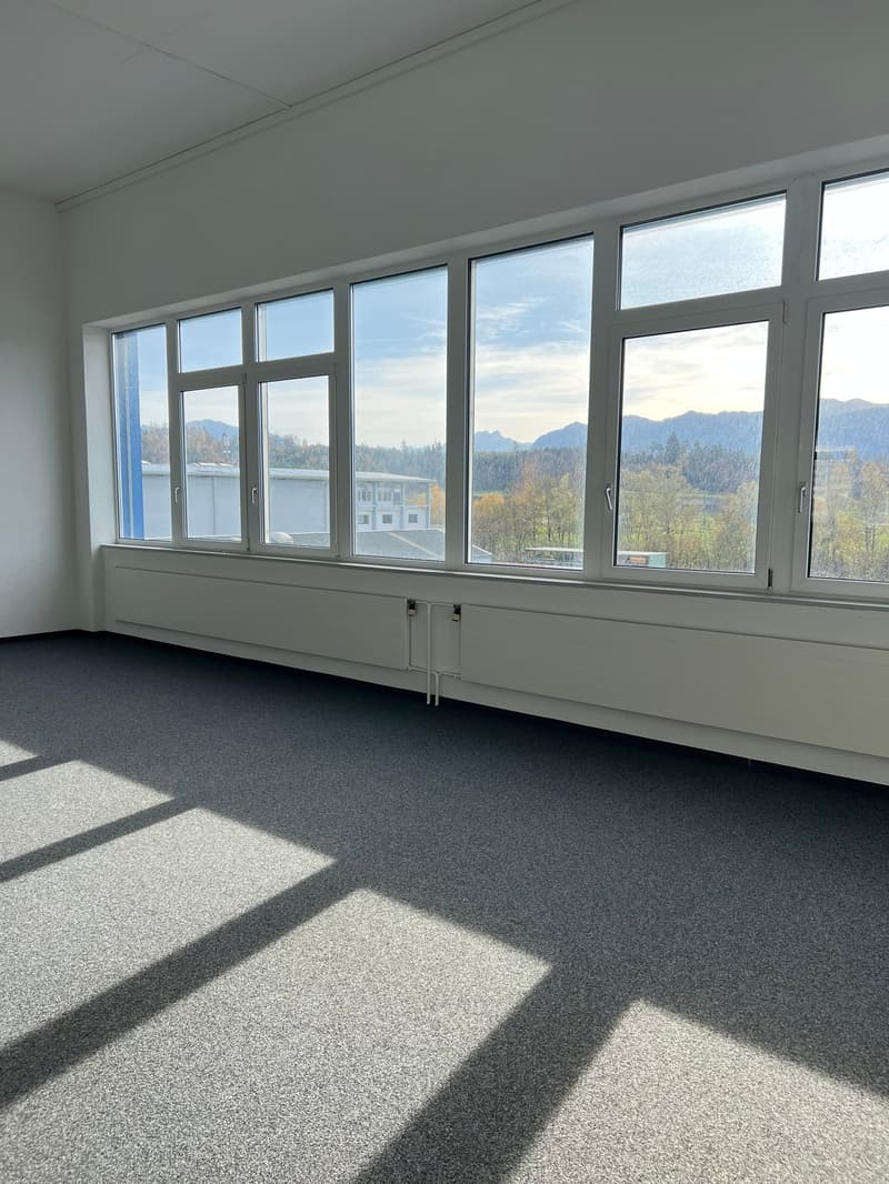 Votre emplacement d'entreprise/démarrage à Rapperswil-Jona (8)