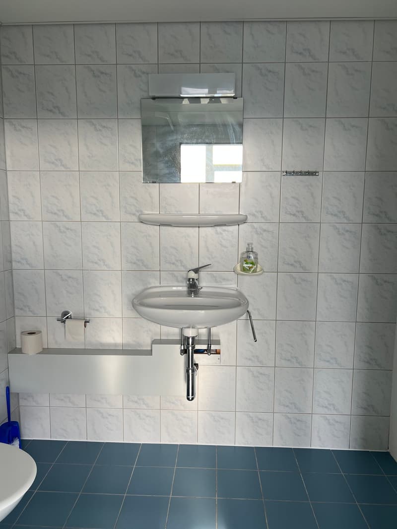Votre emplacement d'entreprise/démarrage à Rapperswil-Jona (5)