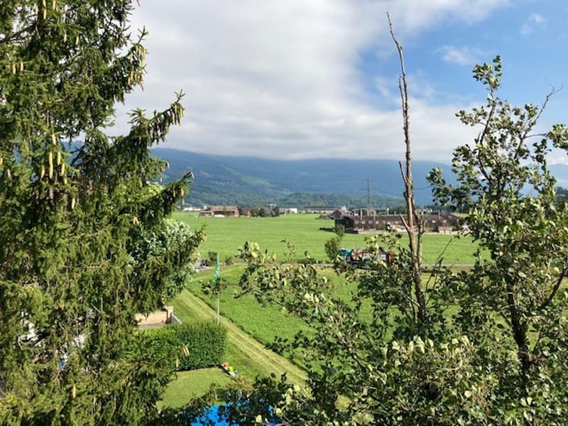 Appartement spacieux 4.5 pièces avec belle vue à Kaltbrunn (14)