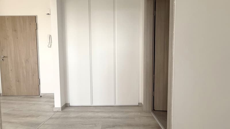 Jusqu'à 3 mois gratuits - 2.5 pièces appartement moderne et rénové à Coldrerio (3)