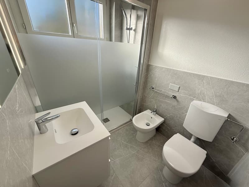 JUSQU'À 3 MOIS GRATUITS - 3.5 PIÈCES AVEC PISCINE À LUGANO (6)