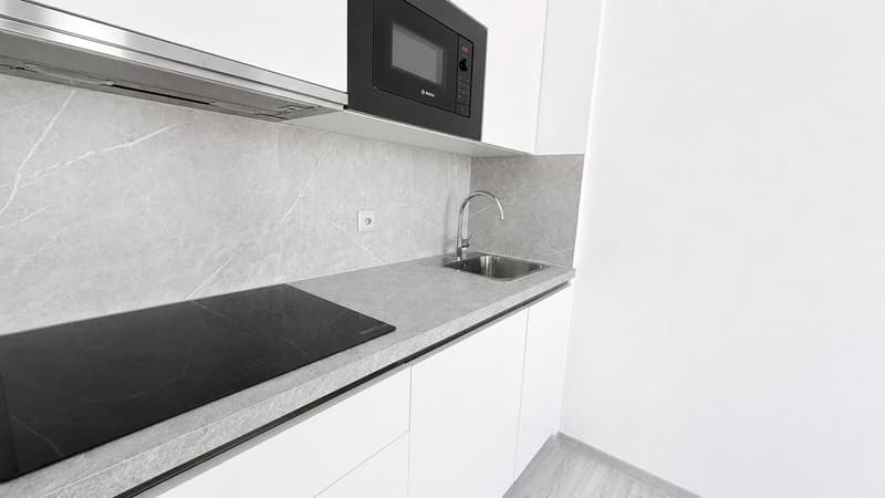 1,5 Zimmer renoviert und modern in Lugano (1)
