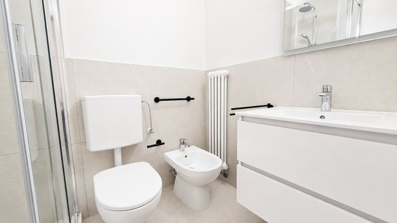1,5 Zimmer renoviert und modern in Lugano (3)