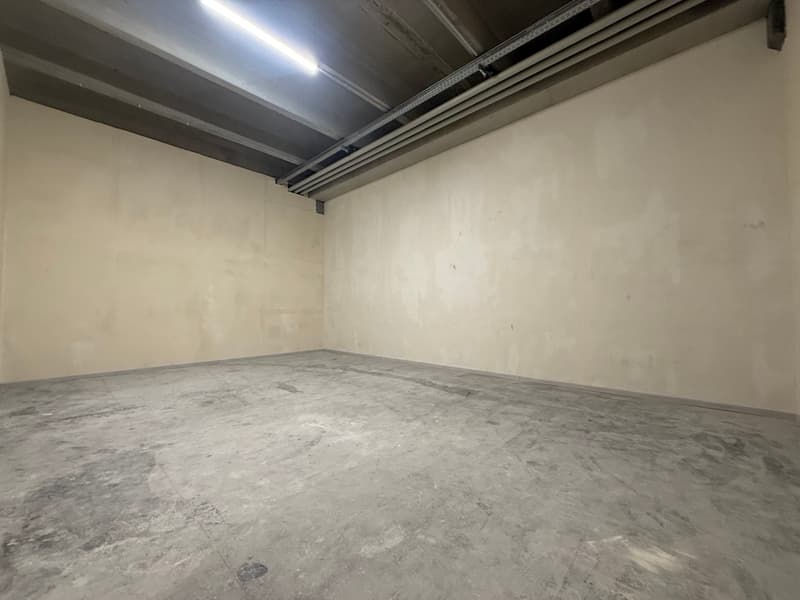 Jusqu'à 3 mois gratuits - Espace commercial et dépôt à louer à Mendrisio (4)