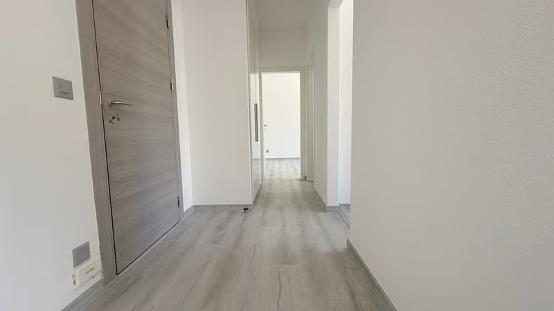 Up to 3 months free - 2.5 rooms renovated in Balerna (3)