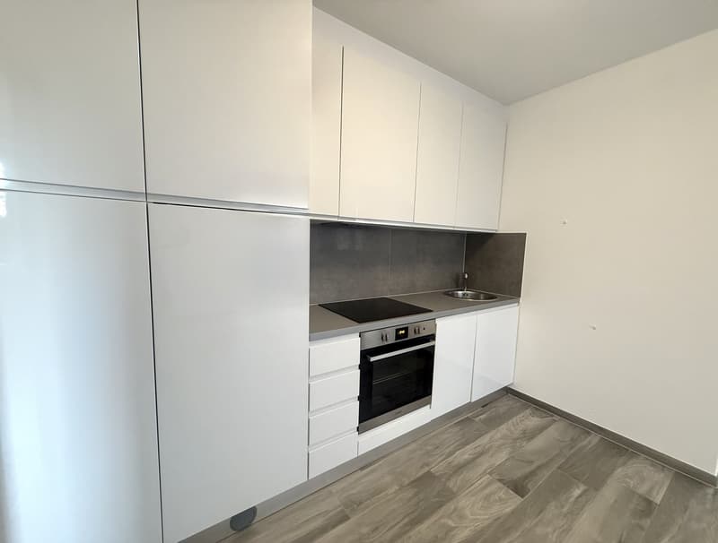 Luminoso appartamento di 3.5 locali a Mendrisio – disponibile subito (1)