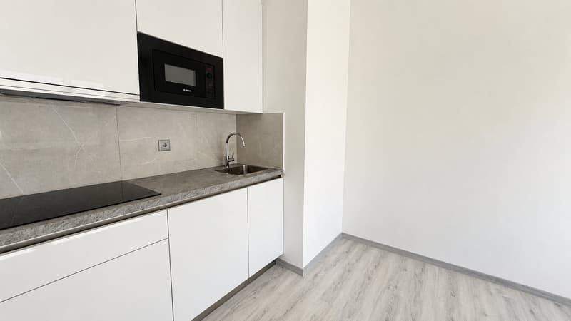 FINO A 3 MESI GRATUITI - 1.5 locali ristrutturato e moderno a Lugano (1)