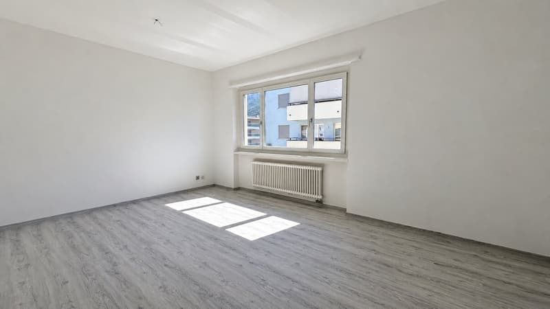 FINO A 3 MESI GRATUITI - 1.5 locali ristrutturato e moderno a Lugano (2)