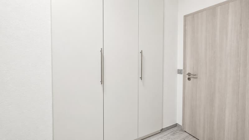 Up to 3 months free - 3.5 rooms renovated in Lugano with swimming pool (4)