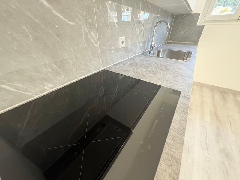 3.5 locali moderno a Mendrisio (2)