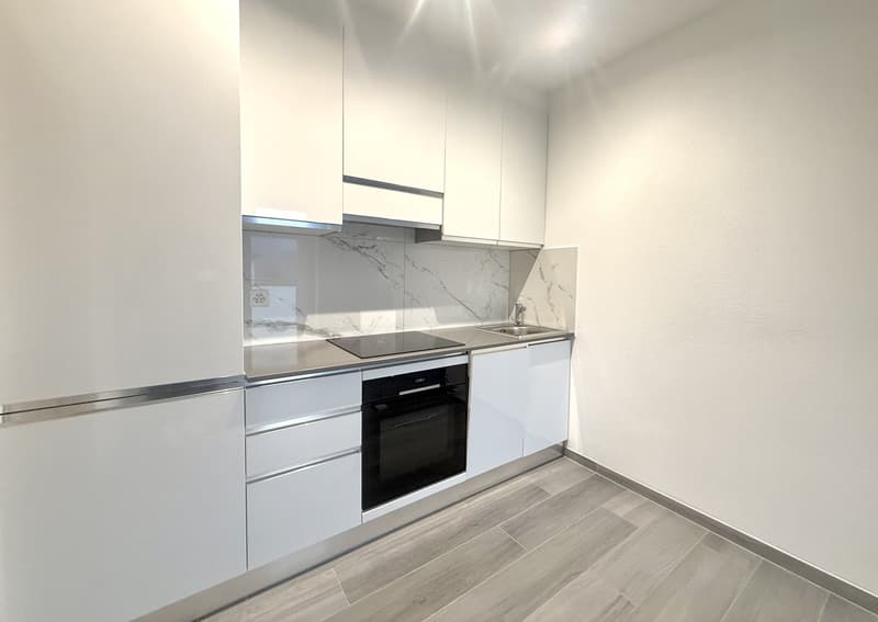 UP TO 3 MONTHS FREE - LAST 3.5 rooms new in Vacallo (2)