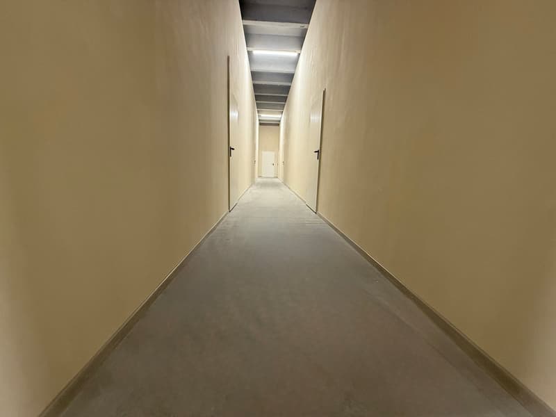 Jusqu'à 3 mois gratuits - Espace commercial et dépôt à louer à Mendrisio (5)