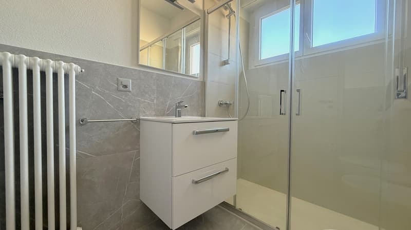 JUSQU'À 3 MOIS GRATUITS - 3.5 PIÈCES AVEC PISCINE À LUGANO (6)