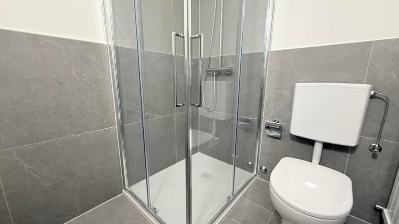 Moderne 1,5-Zimmer-Wohnung in Coldrerio (4)