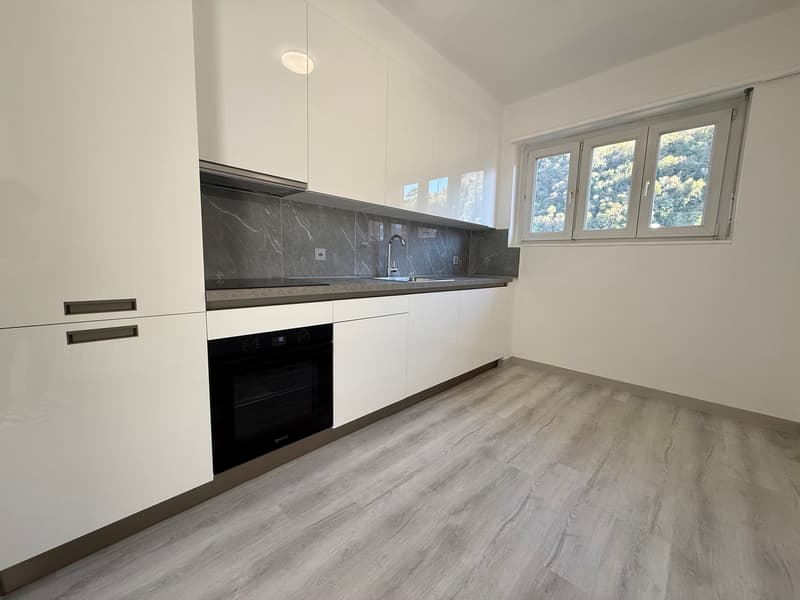 Up to 3 months free - 3.5 rooms renovated in Mendrisio (1)