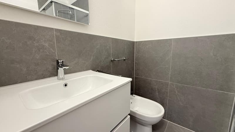 1.5 modern rooms in Coldrerio (3)