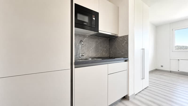 Moderne 1,5-Zimmer-Wohnung in Coldrerio (1)
