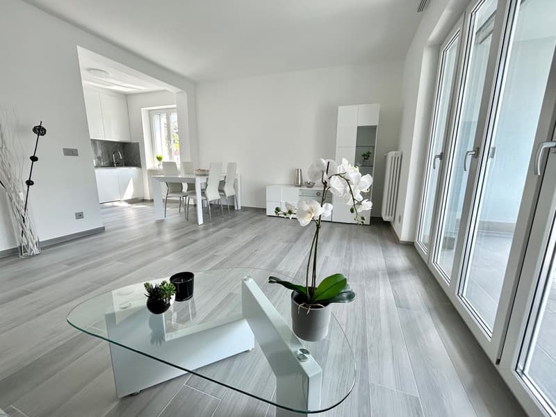 DISPONIBILE DA SETTEMBRE - 3.5 locali in affitto a Locarno posizione centrale e servita (1)