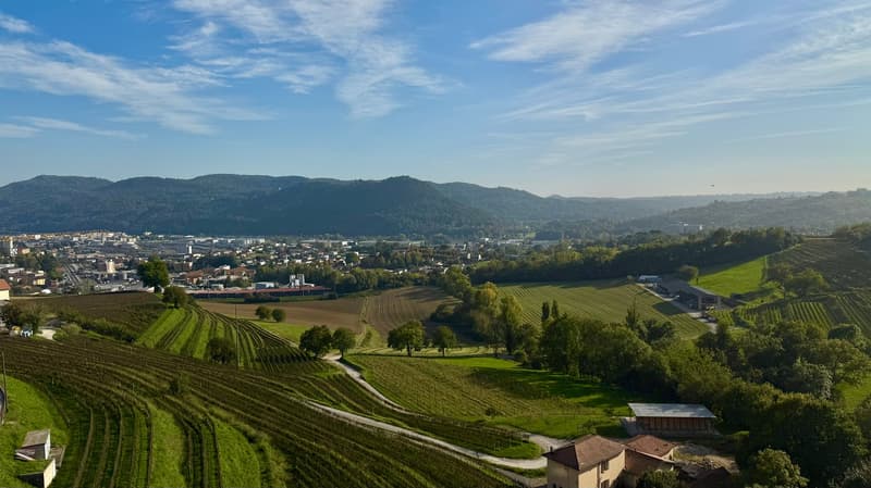 UP TO 3 MONTHS FREE - 4.5 rooms renovated in Coldrerio (12)