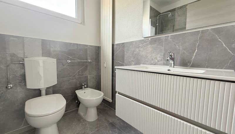 UP TO 3 MONTHS FREE - 4.5 rooms renovated in Coldrerio (8)