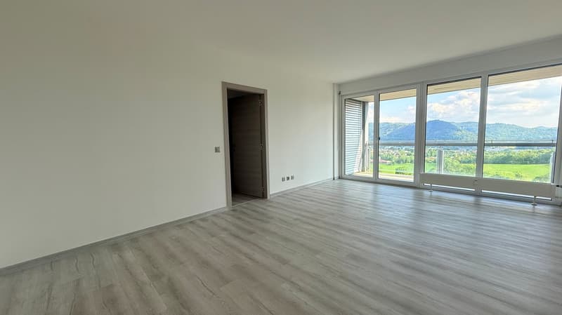 UP TO 3 MONTHS FREE - 4.5 rooms renovated in Coldrerio (3)