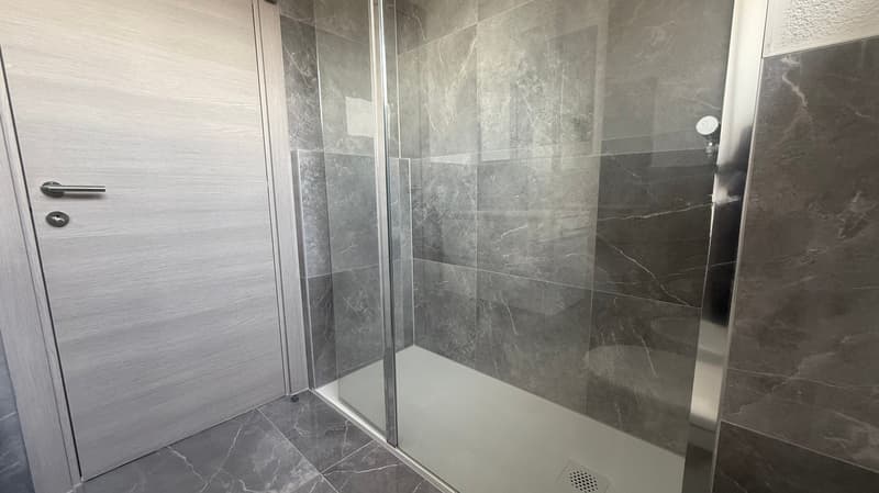 UP TO 3 MONTHS FREE - 4.5 rooms renovated in Coldrerio (9)