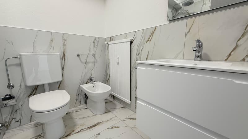 4,5 locaux rénovés en location à Coldrerio (7)