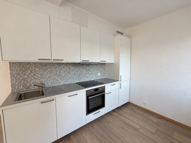 Ampio 4.5 locali ristrutturato ZONA CENTRALE a Mendrisio (1)