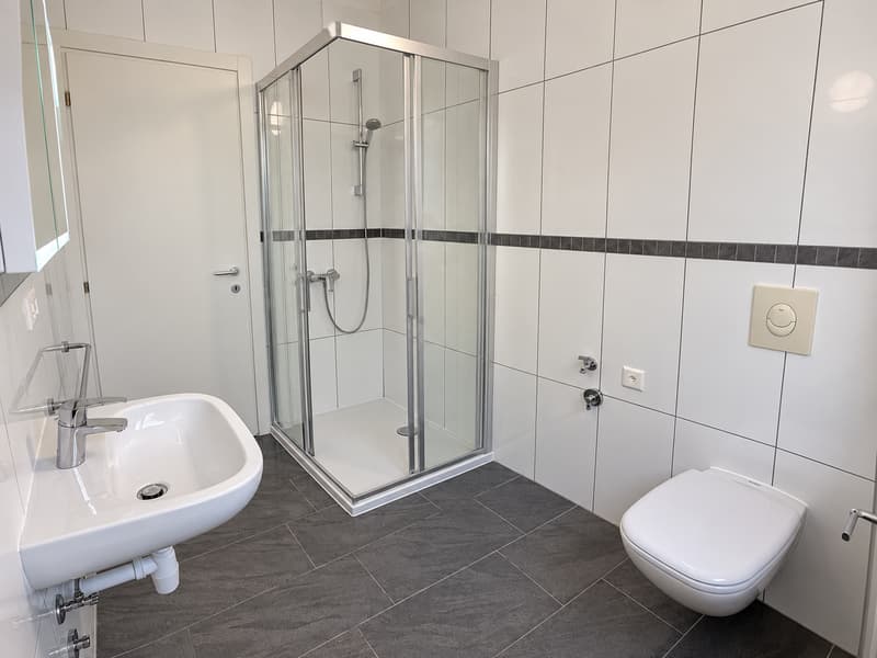 Ampio 4.5 locali ristrutturato ZONA CENTRALE a Mendrisio (7)