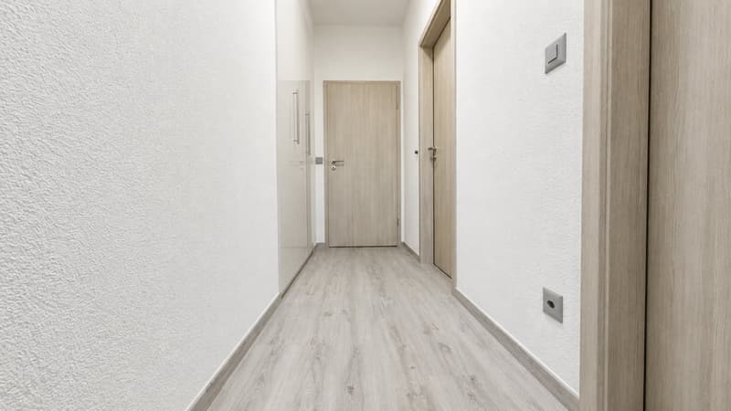 FINO A 3 MESI GRATUITI - 3.5 Locali a Lugano con piscina (3)