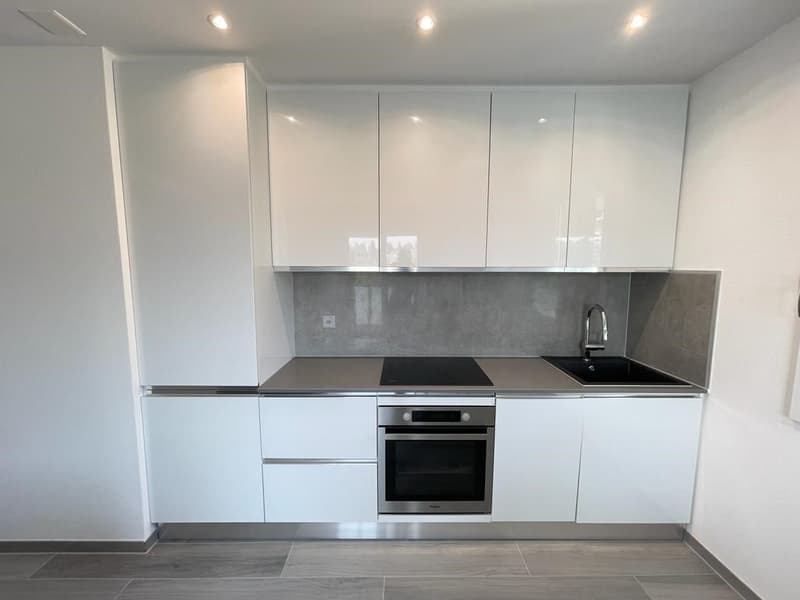 2.5 LOCALI IN AFFITTO A MENDRISIO – ZONA CENTRALE (3)