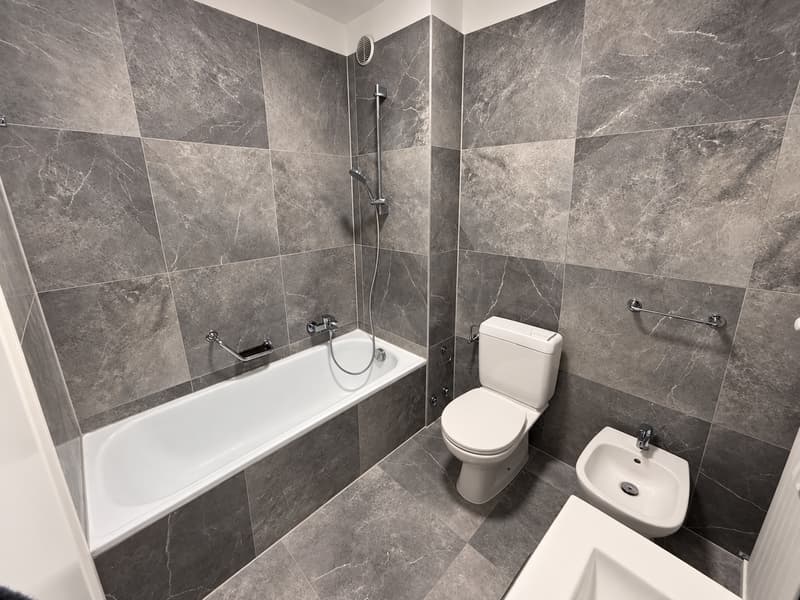 2.5 locali moderno e ristrutturato a Coldrerio (7)