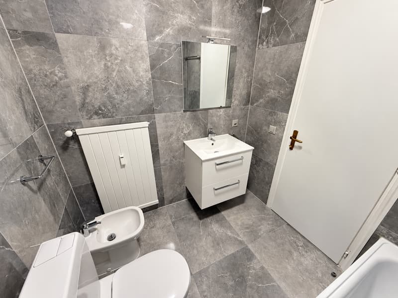 2.5 locali moderno e ristrutturato a Coldrerio (6)