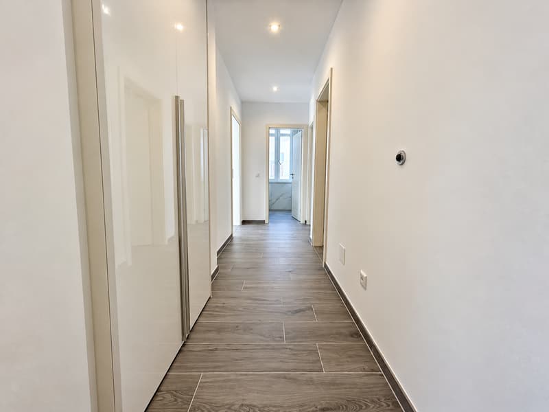 4.5 locali alto standing con giardino privato a Capolago (7)