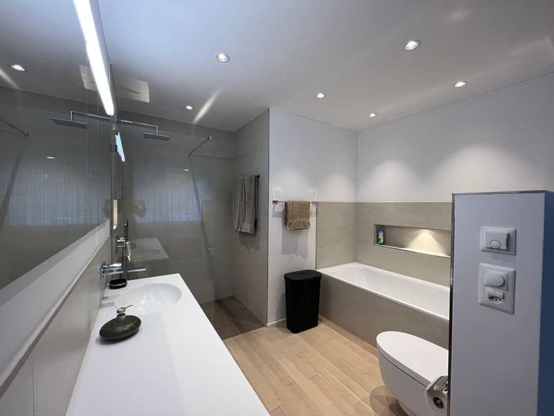 Möblierte, moderne 2.5 Zimmer Wohnung (7)
